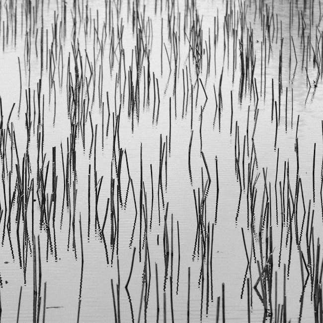 stick marsh & headwaters lake fishing guide
